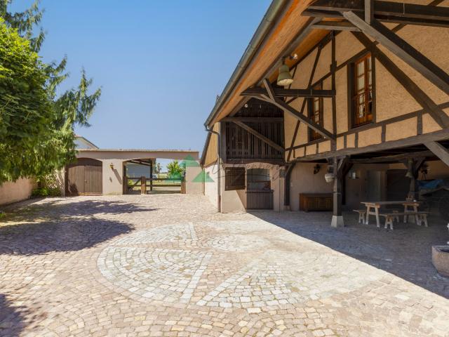 Maison vente à Rantzwiller, Collectivité européenne d'Alsace