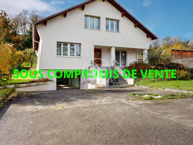 Maison vente à Mulhouse, Hégenheim