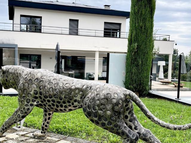 Maison vente à Lyon, Métropole de Lyon