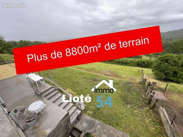 Maison vente à Épinal, Vincey