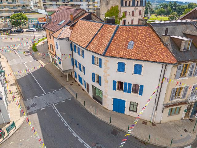 Maison vente à Gex