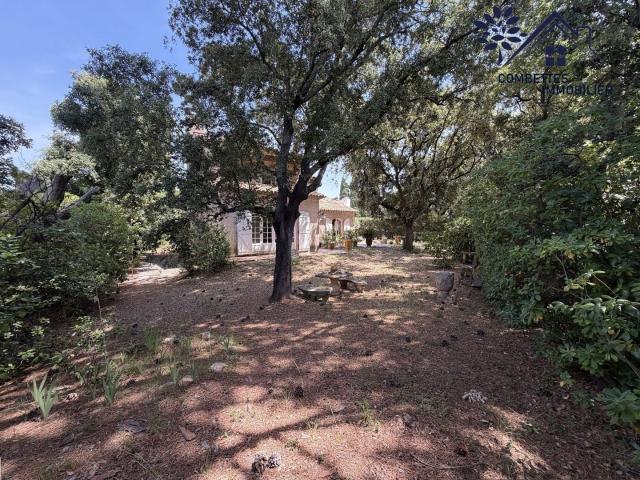 Maison vente à Montpellier