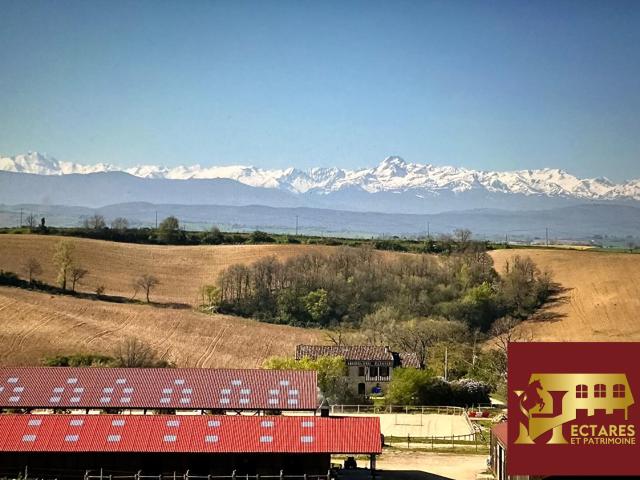 Maison vente à Muret, Gaillac-toulza