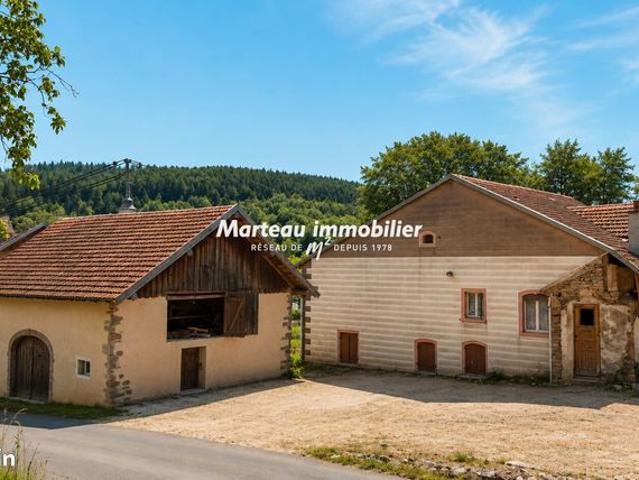 Maison vente à Saint-Dié-des-Vosges, Entre-deux-eaux