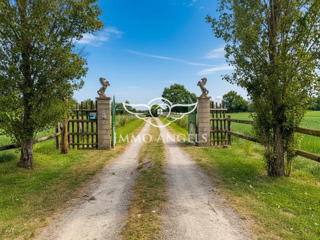 Maison vente à Laval, Argentré