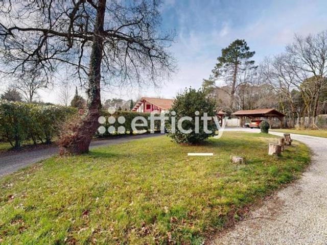 Maison vente à France métropolitaine, Biscarrosse