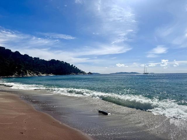 Maison vente à Arrondissement de Toulon, Le Lavandou
