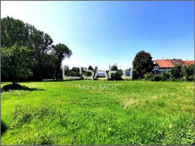 Villa vente à Ottwiller, Collectivité européenne d'Alsace