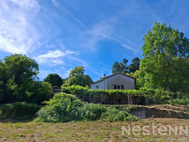 Maison vente à Florac, Le Collet-de-dèze