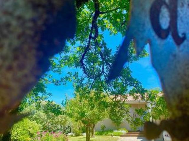 Maison vente à Cahors, Labastide-marnhac