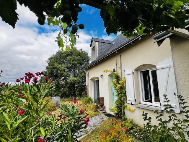 Maison vente à Chinon, La Roche-clermault