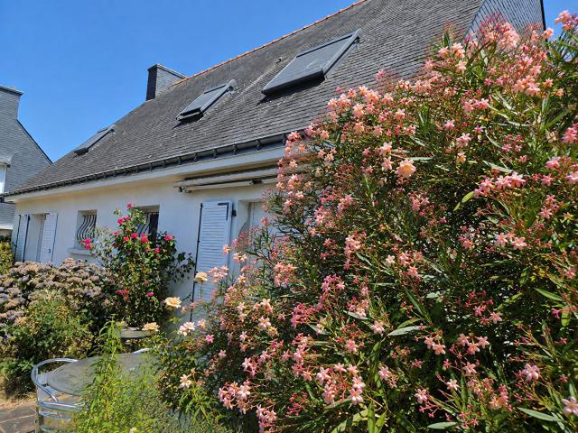Maison vente à Vannes, Bretagne