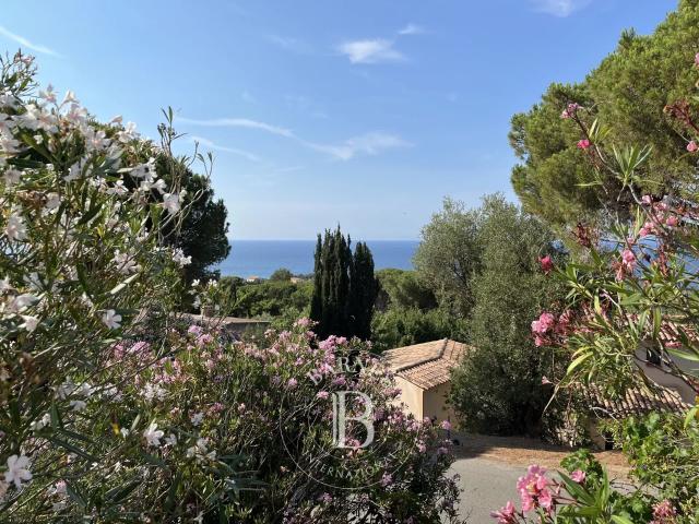 Maison vente à Calvi, Corbara