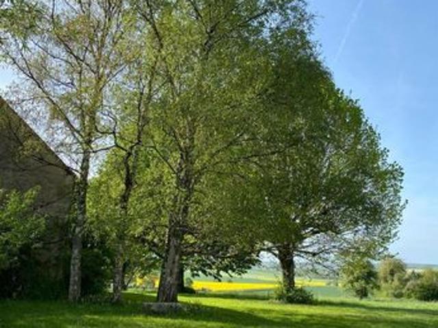 Maison vente à Châteauroux, Palluau-sur-indre