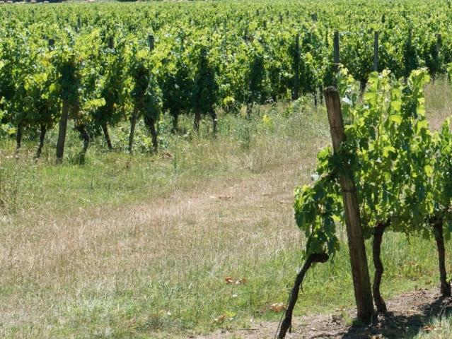 Maison vente à Libourne, Lalande-de-pomerol