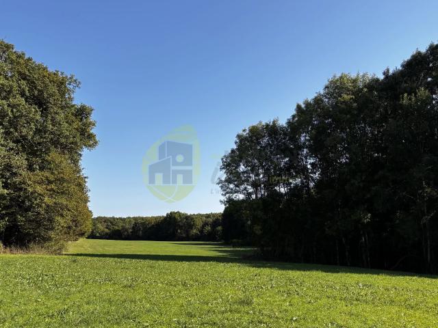 Maison vente à Châteauroux, Neuillay-les-bois