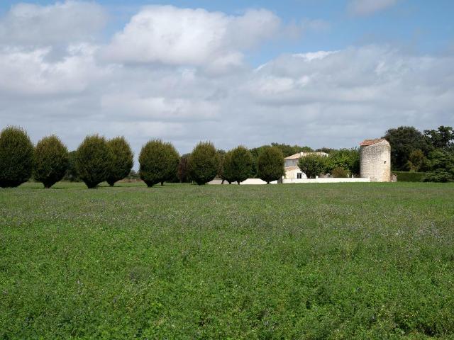 Maison vente à France métropolitaine, Saint-agnant