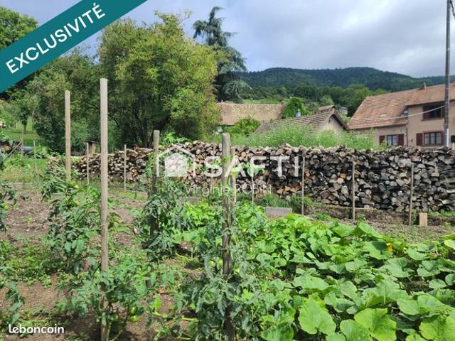 Maison vente à Sélestat-Erstein, Breitenbach