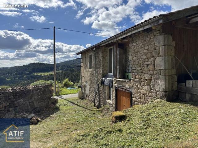Maison vente à Montbrison, Saint-jean-la-vêtre