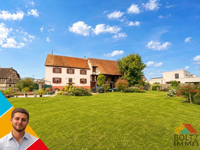 Maison vente à Mussig, Collectivité européenne d'Alsace