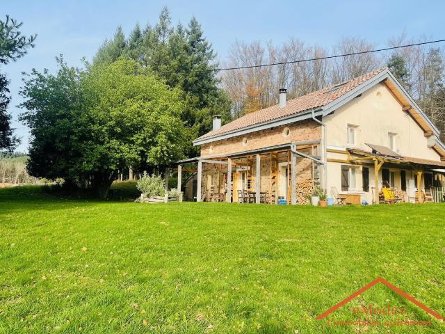 Maison vente à Saint-Dié-des-Vosges, Biffontaine