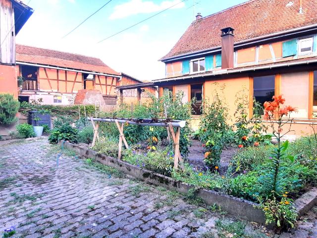 Maison vente à Osthouse, Collectivité européenne d'Alsace
