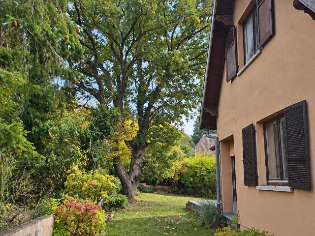 Maison vente à Buhl, Collectivité européenne d'Alsace