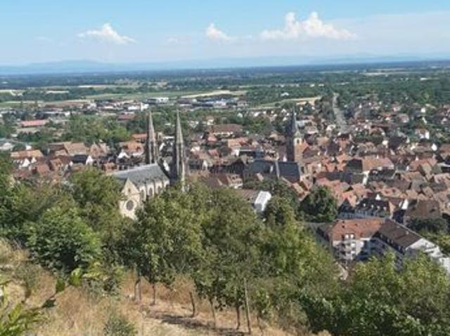 Maison vente à Sélestat-Erstein, Boersch