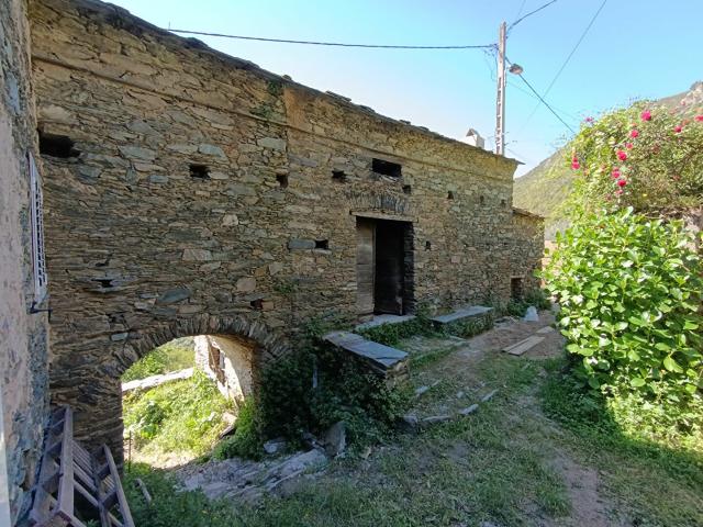Maison vente à Corte, Campile
