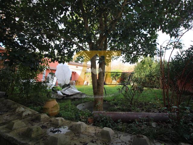 Maison vente à Toulouse, Auriac-sur-vendinelle