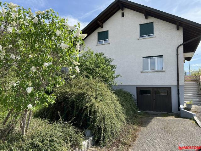 Maison vente à Mulhouse, Neuwiller