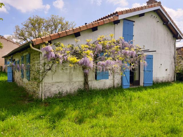 Maison vente à Niort, Messé