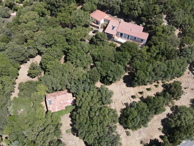 Maison vente à Sartène, Olmeto