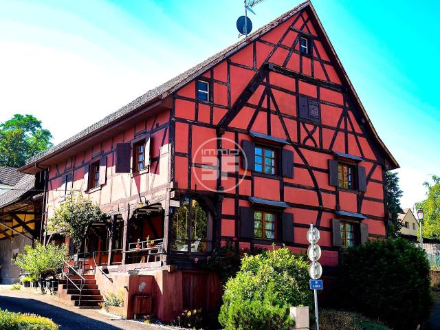 Maison vente à Hégenheim, Collectivité européenne d'Alsace