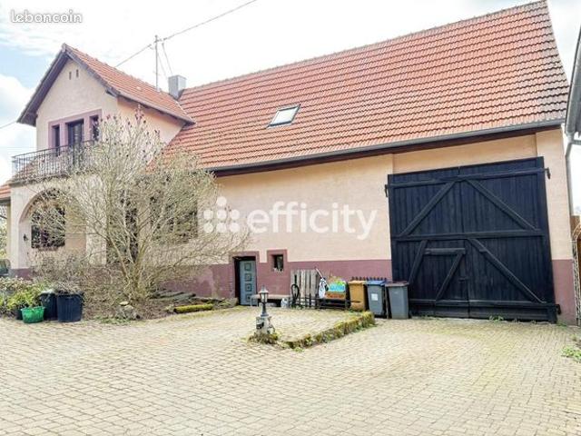 Maison vente à Haguenau-Wissembourg, Reichshoffen