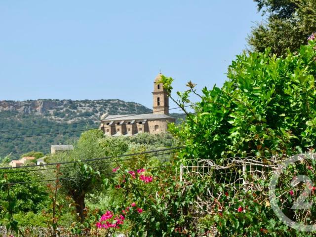 Maison vente à Calvi, Patrimonio