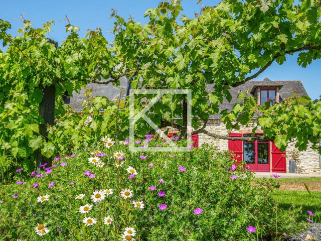 Maison vente à Segré, Pays de la Loire