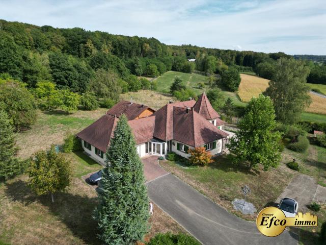 Maison vente à Hirtzbach, Collectivité européenne d'Alsace