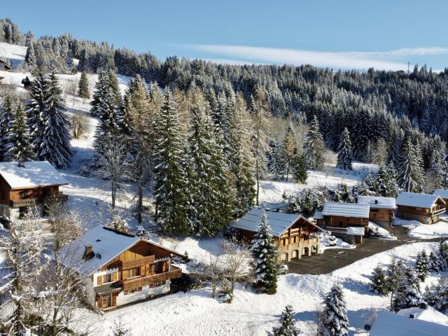 Maison vente à Thonon-les-Bains, Les Gets
