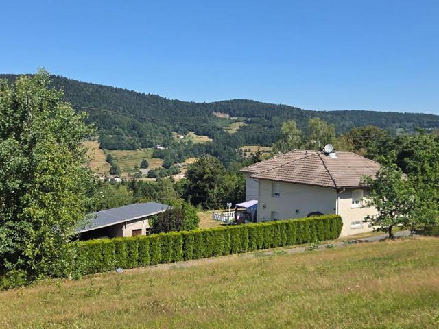 Maison vente à Épinal, Le Syndicat