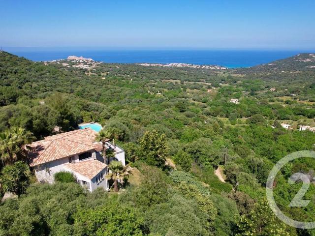 Maison vente à Calvi, Monticello