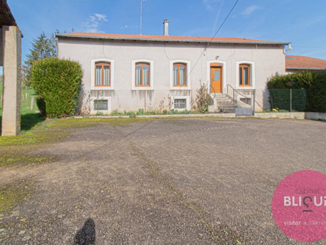 Maison vente à Nancy, Affracourt