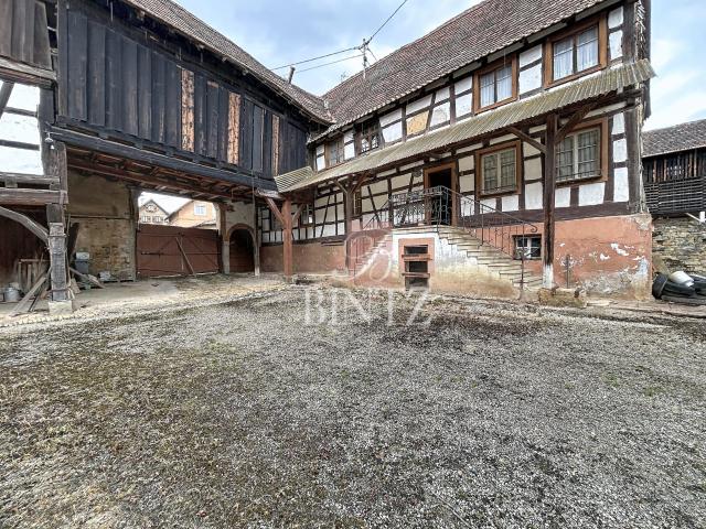 Maison vente à Saverne, Gingsheim