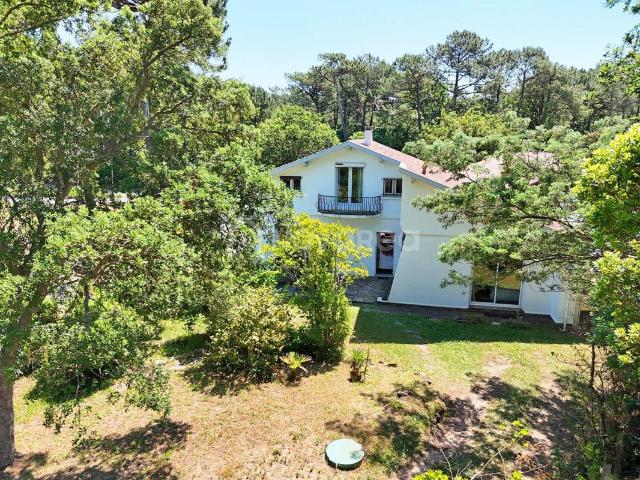 Maison vente à Airial, Soorts-Hossegor