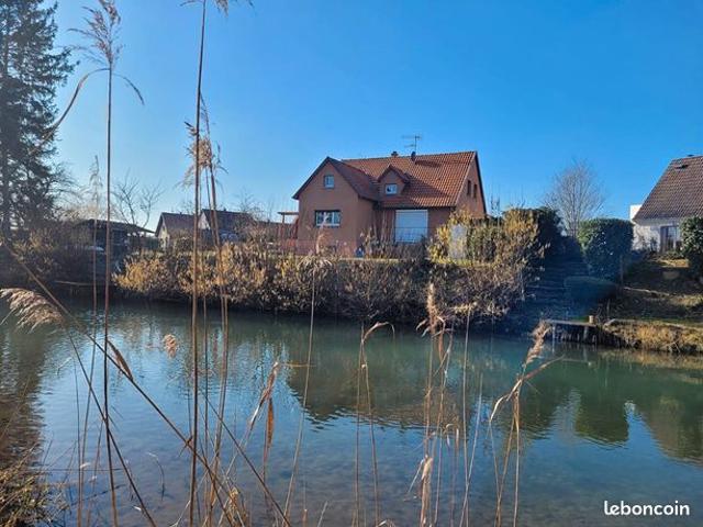 Maison vente à Colmar-Ribeauvillé, Baltzenheim
