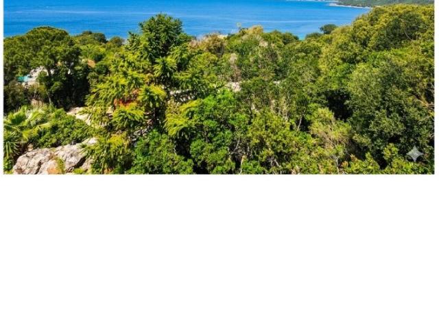 Maison vente à Ajaccio, Coti-chiavari