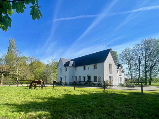 Maison vente à Châteaubriant-Ancenis, Saffré