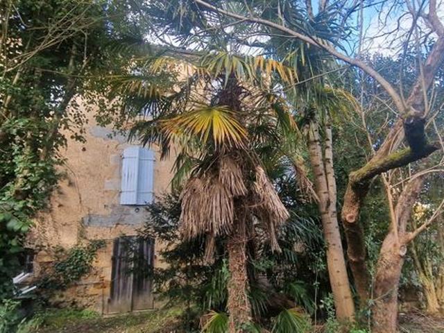 Maison vente à Condom, Cazaubon