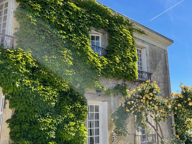 Maison vente à Angers, Martigné-briand