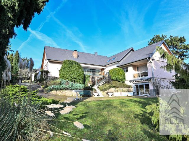 Maison vente à Obernai, Collectivité européenne d'Alsace